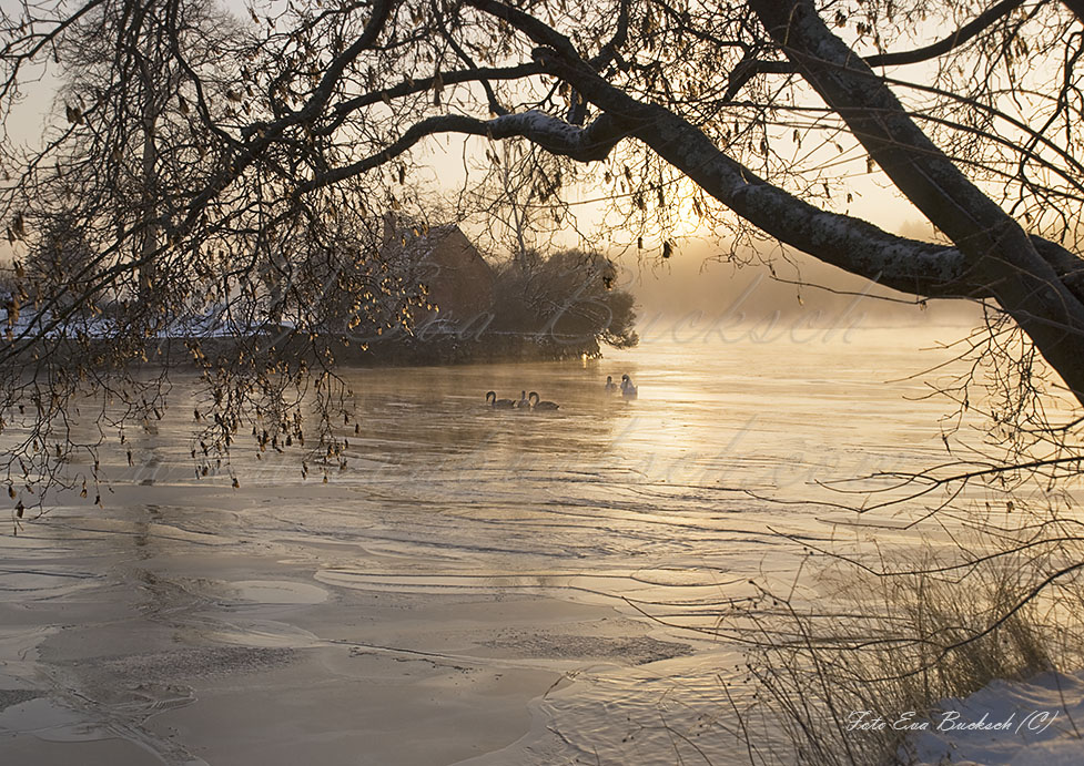 Foto av Eva Bucksch